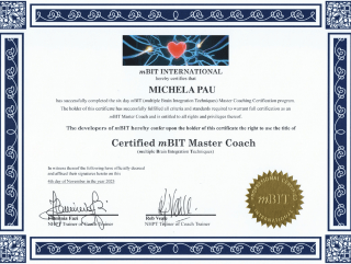 mBIT Master Coach - mBIT International
